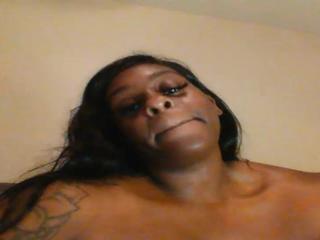 safarixwild on cam for live free nude video chat now