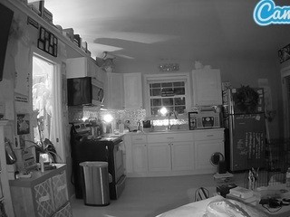 voyeurcam-bridgetleewalters-01 on cam for live free nude video chat now