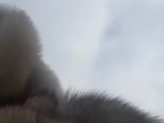 Kasiossila on cam for live free nude video chat now