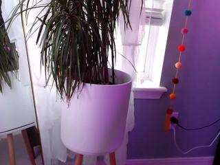 kiwiipunkk on webcam for live free nude chat now
