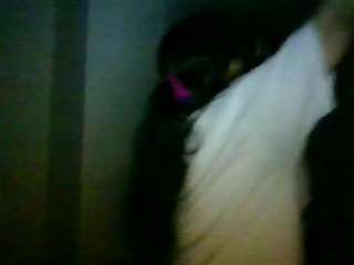 Ms_Breed_Me on webcam for live free nude chat now