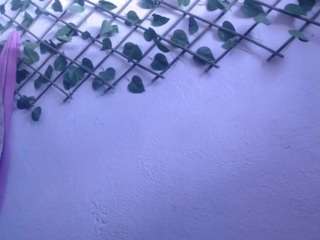 lilpalacio69 on webcam for live free nude chat now