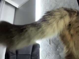 LucretiaLampsas on webcam for live free nude chat now